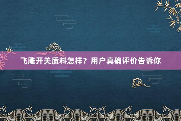 飞雕开关质料怎样？用户真确评价告诉你